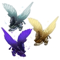 High Priest's Lightsworn Seeker