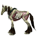 Unsaddled Red Skeletal Horse