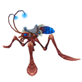 Azure Water Strider